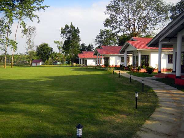 Kaziranga Resort