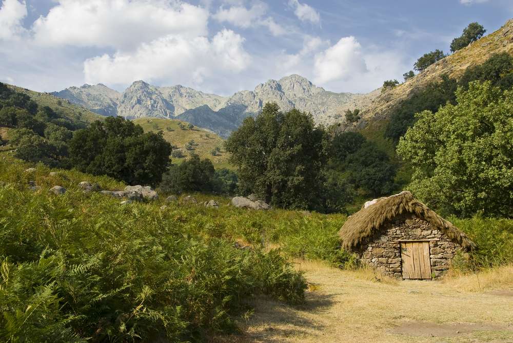 Namdapha National Park