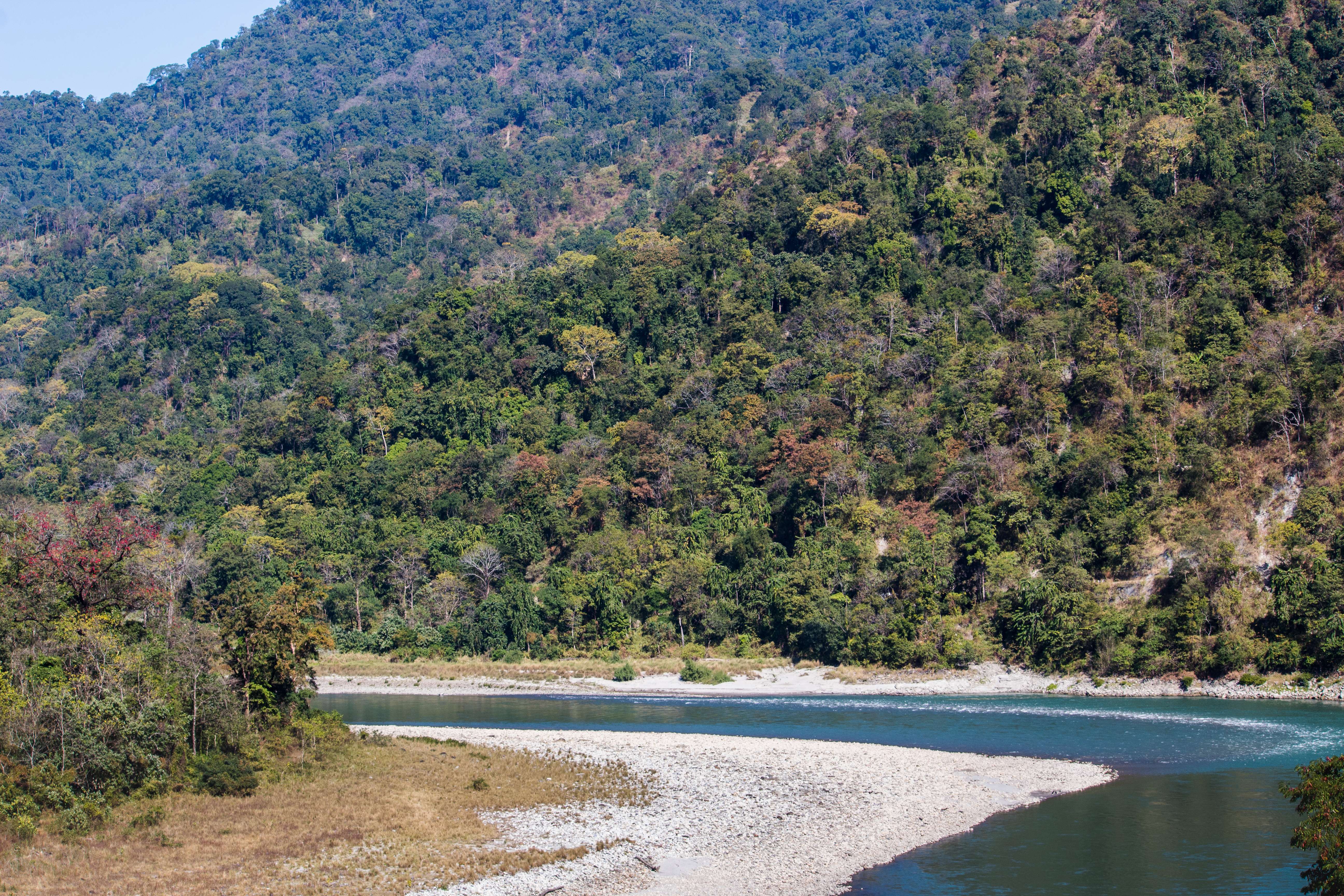 Best Time to Visit Manas National Park
