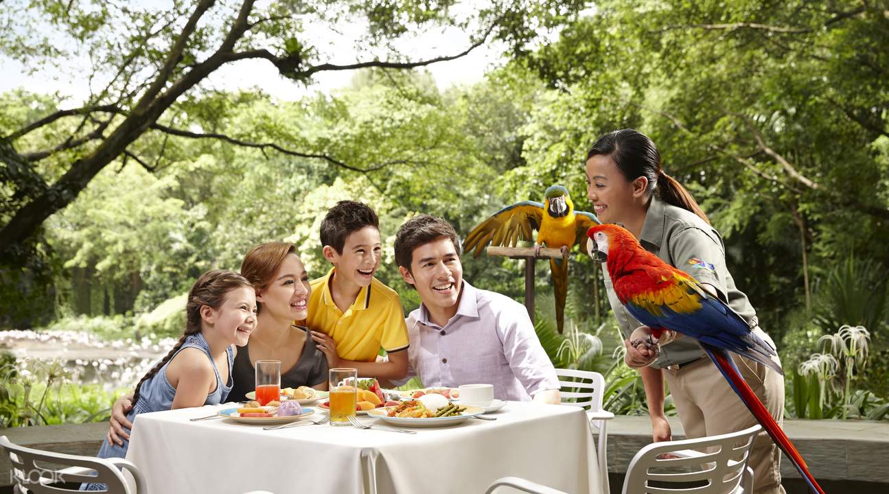 Lunch with Parrots in Singapore Flat 19% off