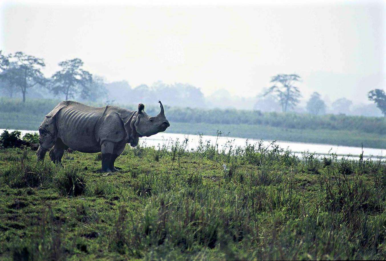 Intanki Wildlife Sanctuary