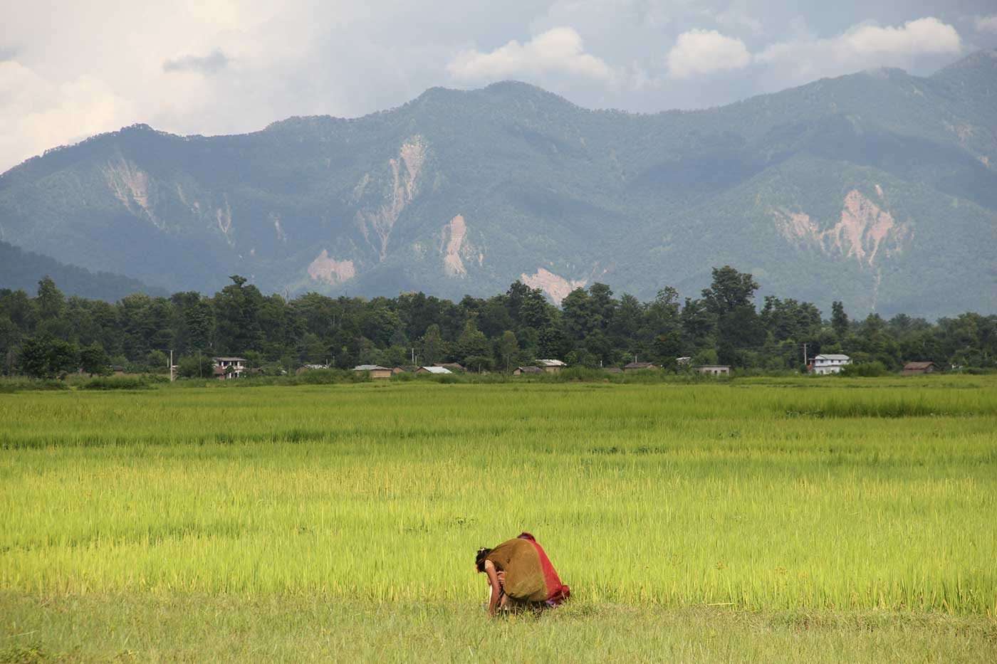 Summer in Nepal