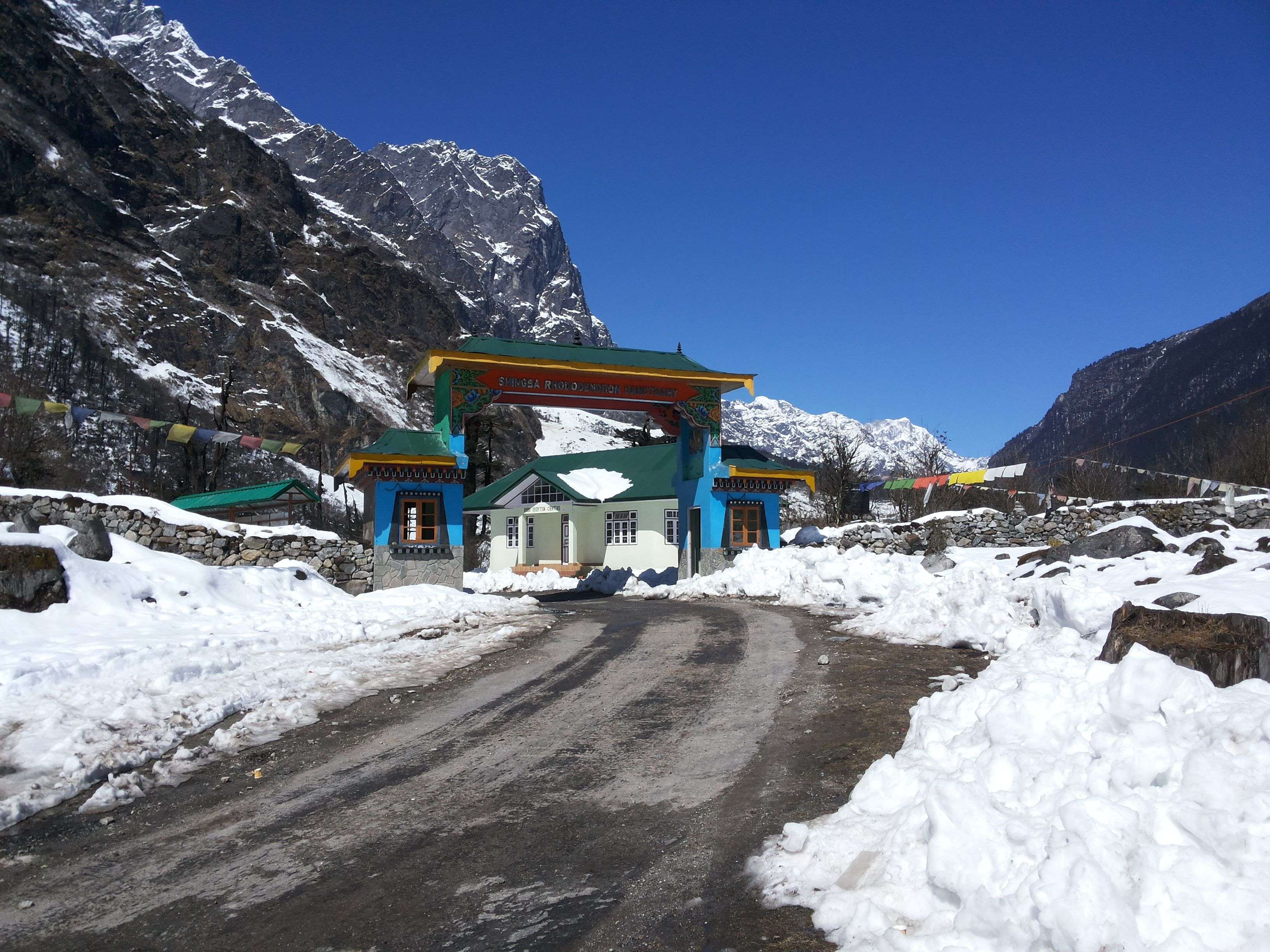 Silk Route Sikkim Guide: Know How To Plan Silk Route Trip 