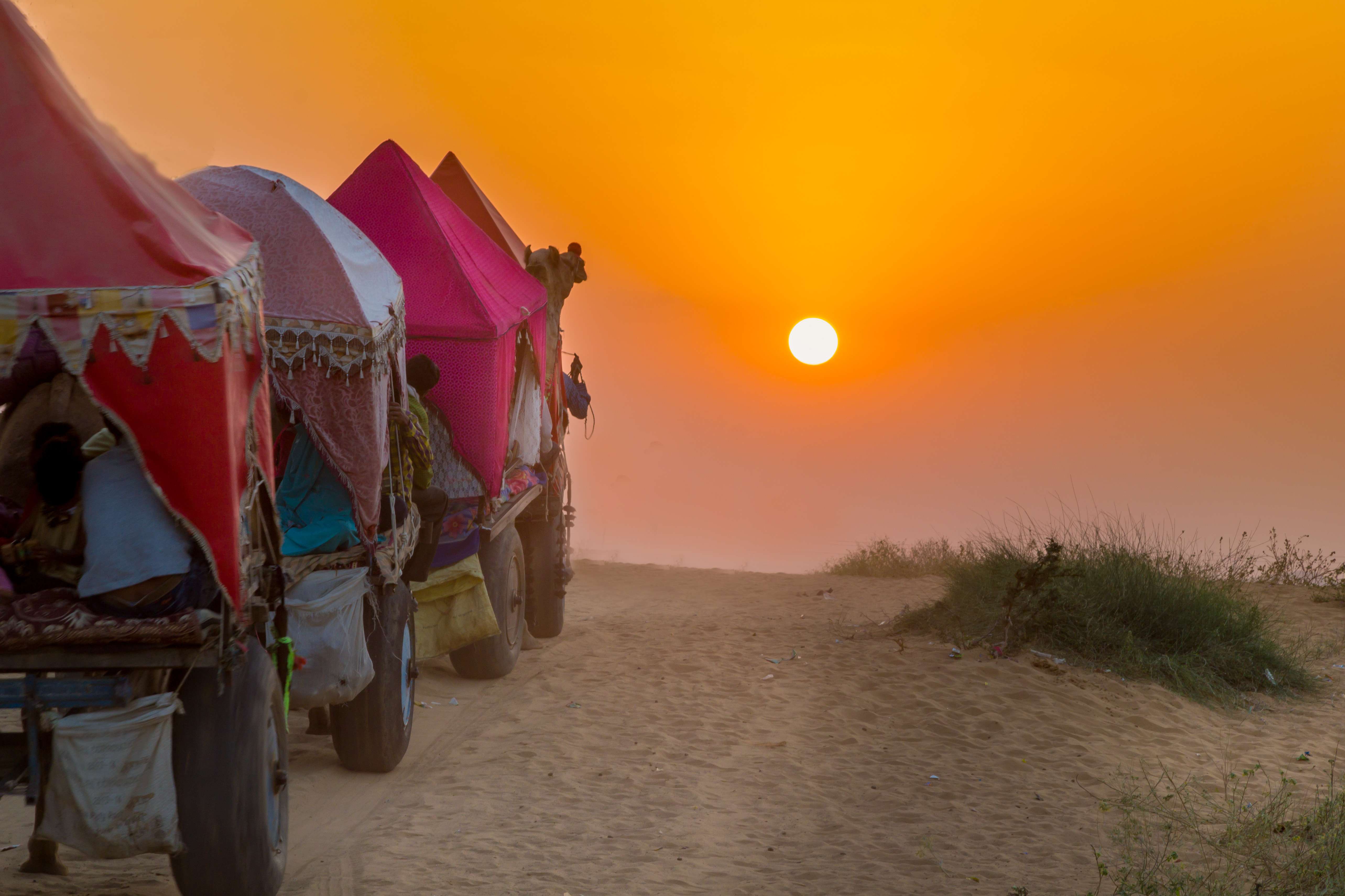 Camel Safari in Pushkar Flat 28% Off