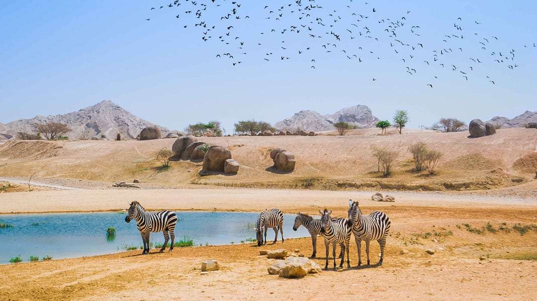 Arabian Wildlife Park