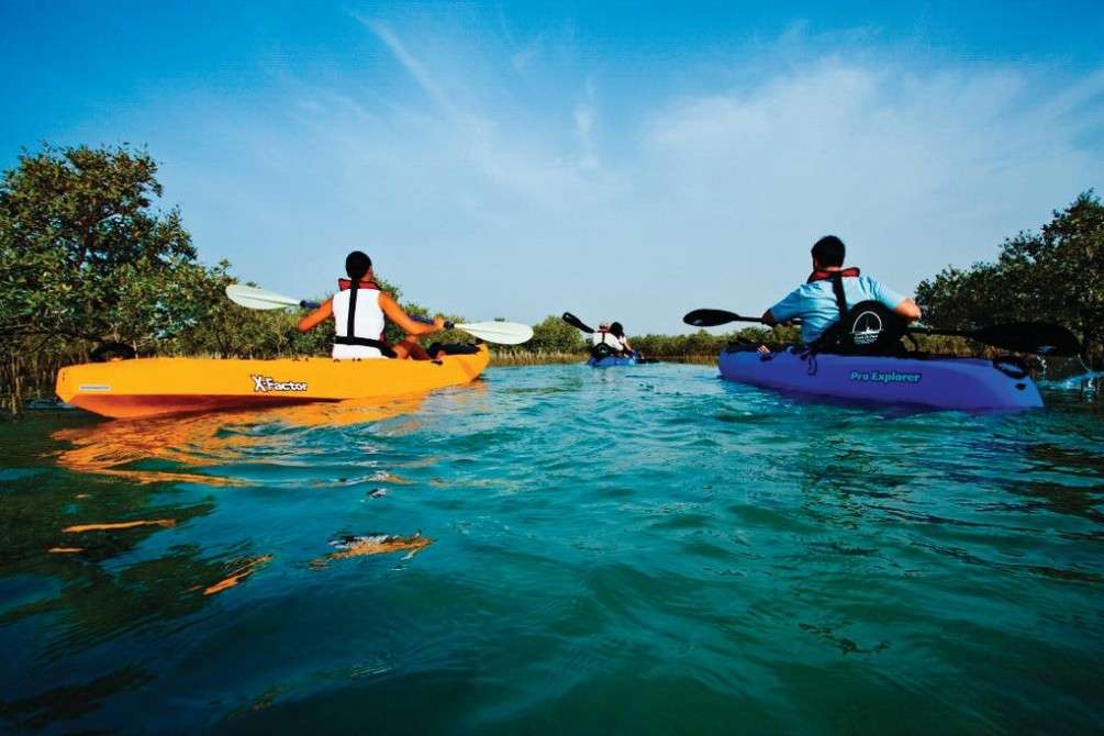 Abu Dhabi Mangrove Kayaking