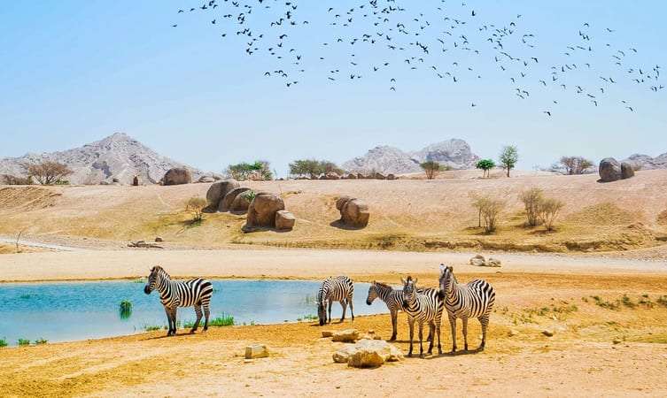 Arabian Wildlife Park
