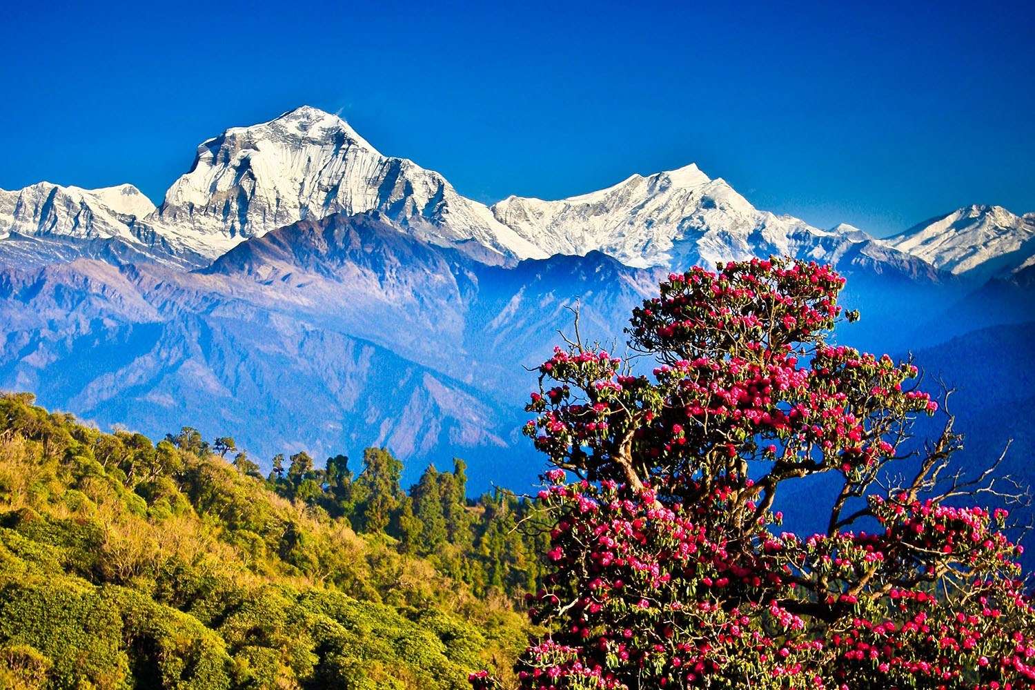Best Time to Visit Nepal