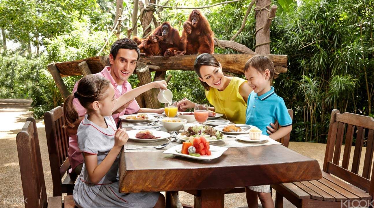 Breakfast with Orangutans at Bali Zoo @ Flat 20% off