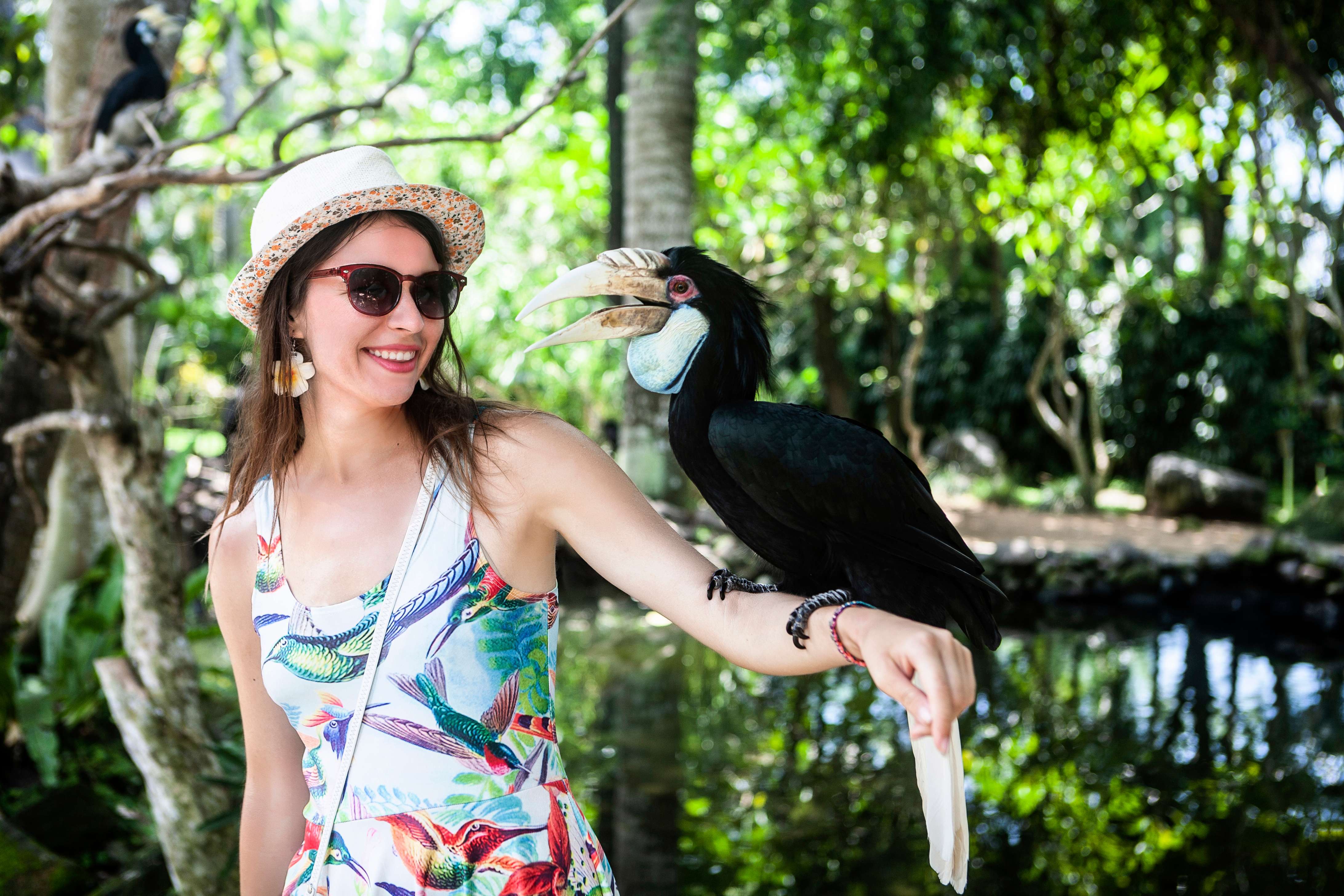 Bali Bird Park Admission Ticket- Flat 53% off