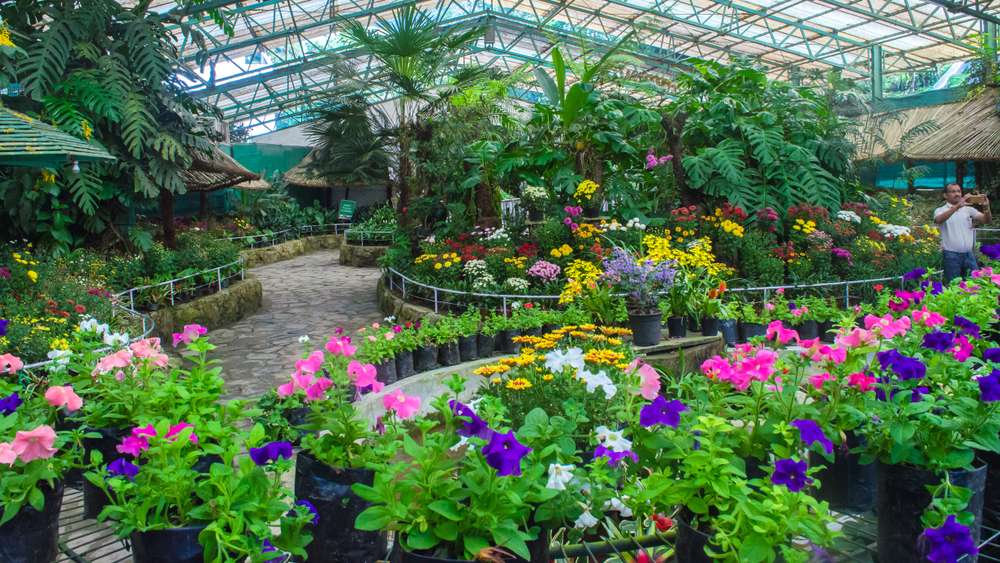 Flower Exhibition Centre