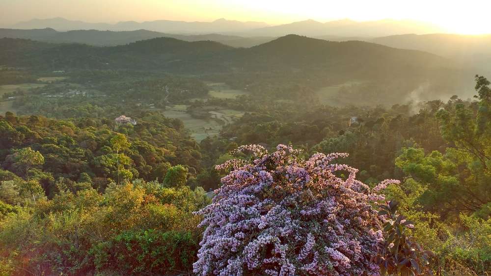 Virajpet Half Day Sightseeing Tour, Coorg - Flat 15% Off