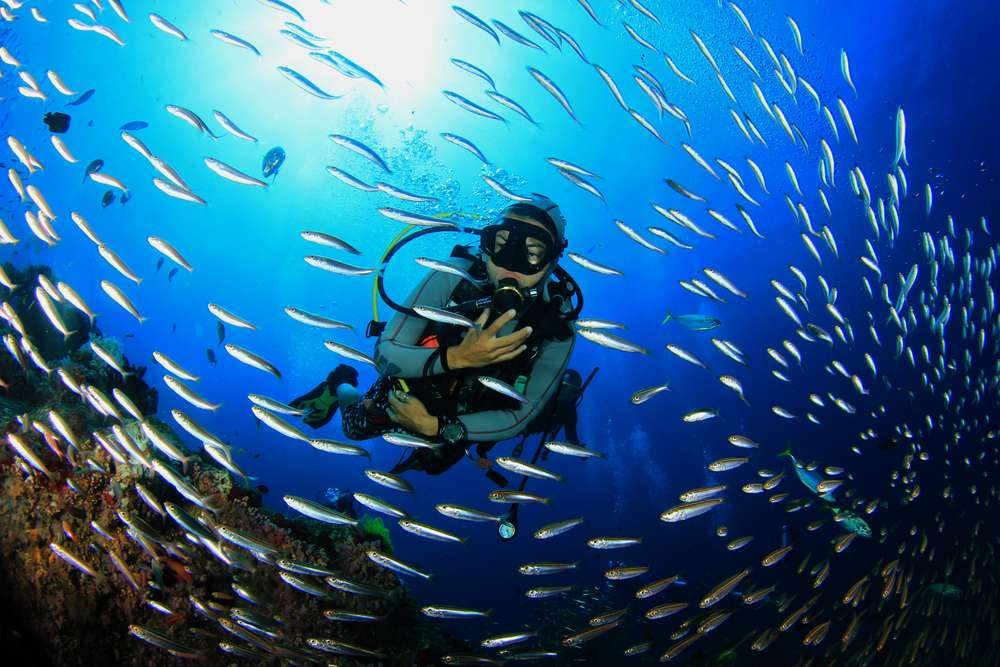 Scuba Diving in Pondicherry | Book Now @ Flat 27% off