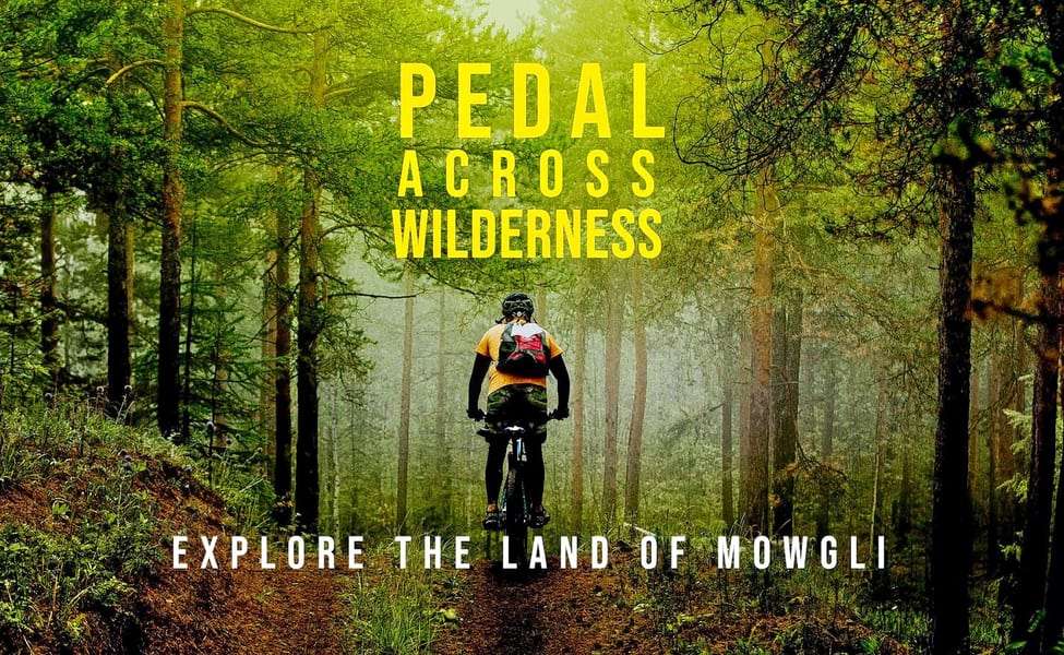 1545303275 1540273633 2018 09 14.jpg