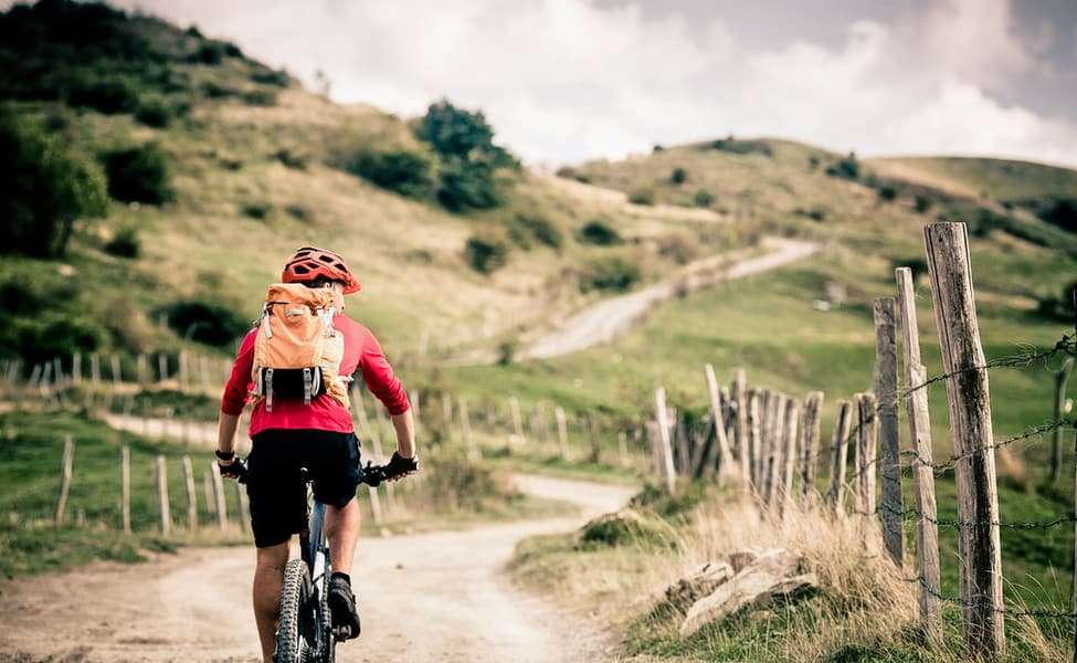 1545303467 1536992711 shutterstock 331661981.jpg