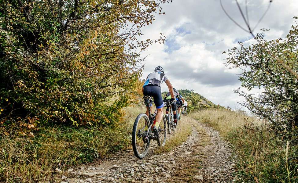 1545303483 1536927728 shutterstock 508549576.jpg