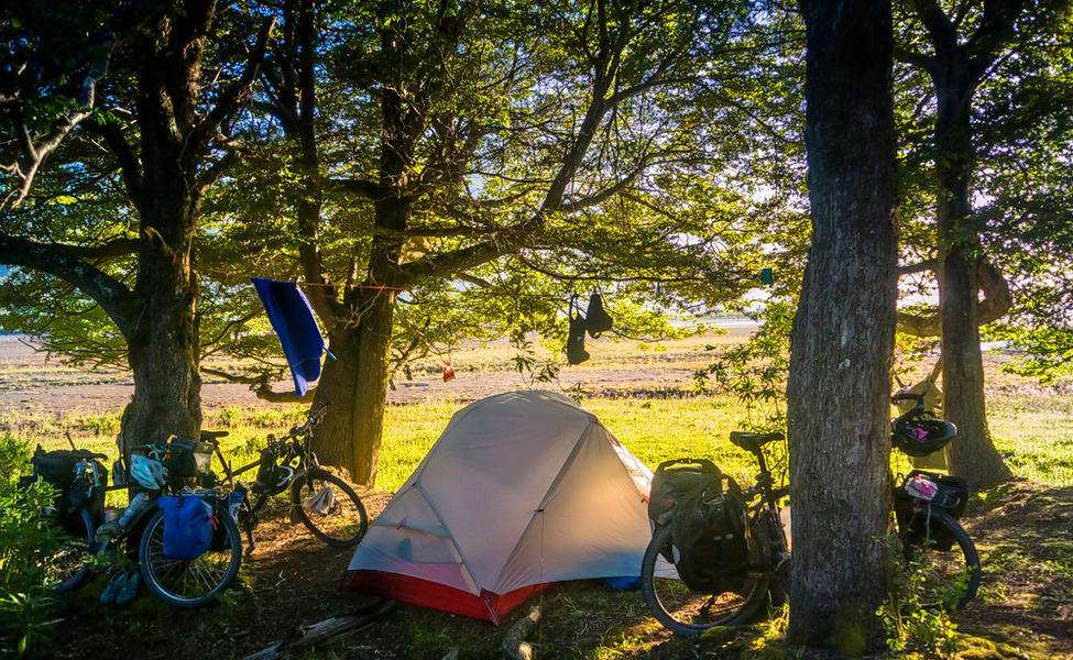 1545303561 1536927730 shutterstock 1080730121.jpg