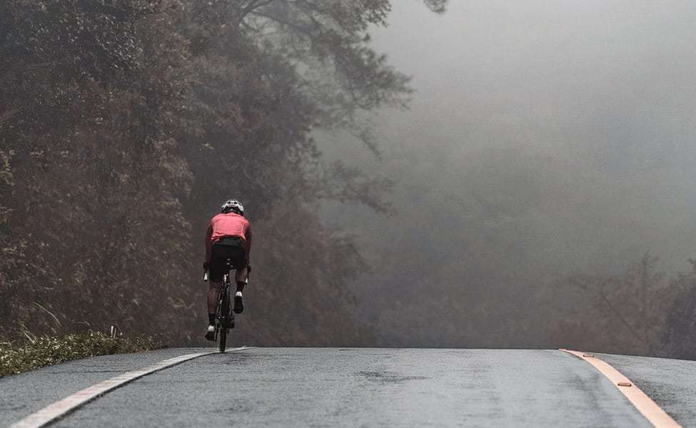 1545303583 1536991306 shutterstock 1118676926.jpg