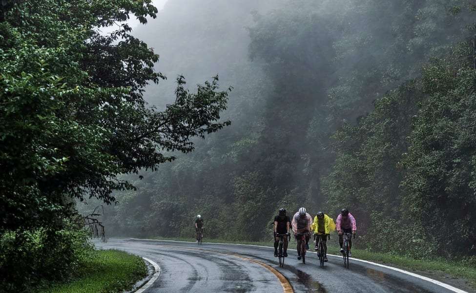 1545303647 1536927730 shutterstock 1121172794.jpg