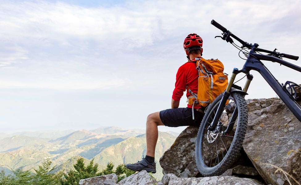 1545303713 1536992713 shutterstock 418102543.jpg