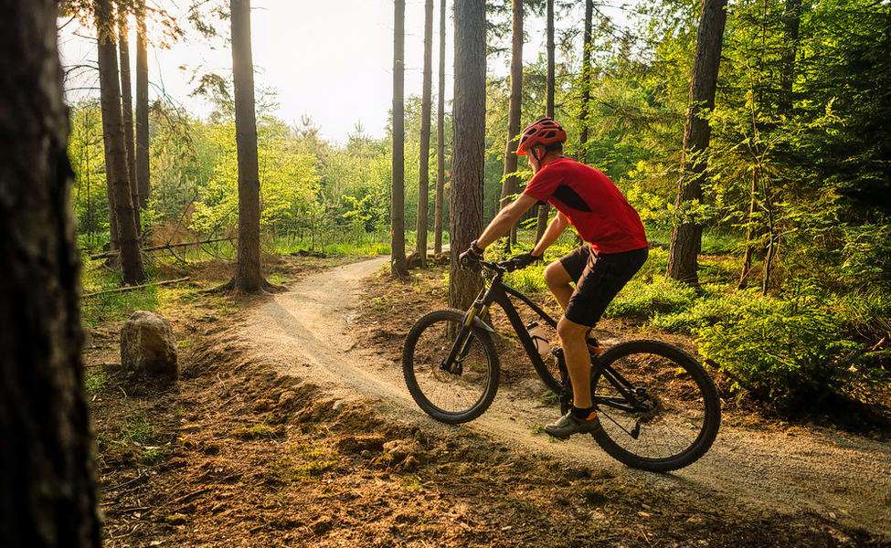 1545303800 1536992714 shutterstock 428401903.jpg