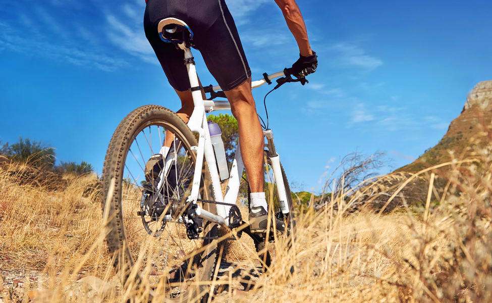 1545303953 1536992709 shutterstock 135442727.jpg