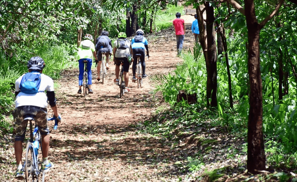 Cycle Through The Jungles Of Indore, 30th December, {{year}}