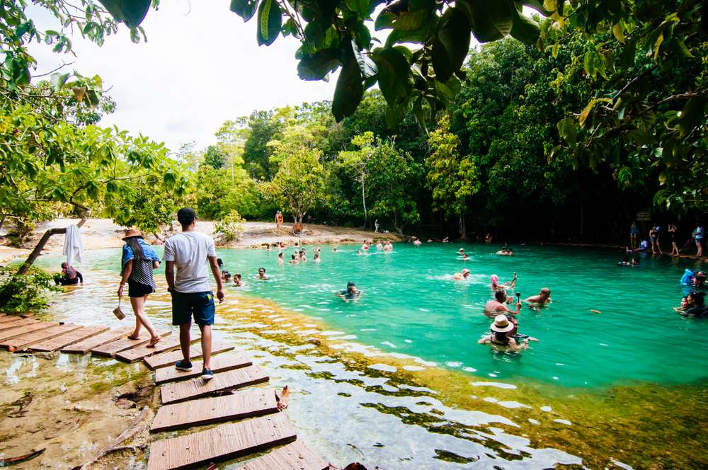 See outstanding beauty of Thung Teao Forest Natural Park