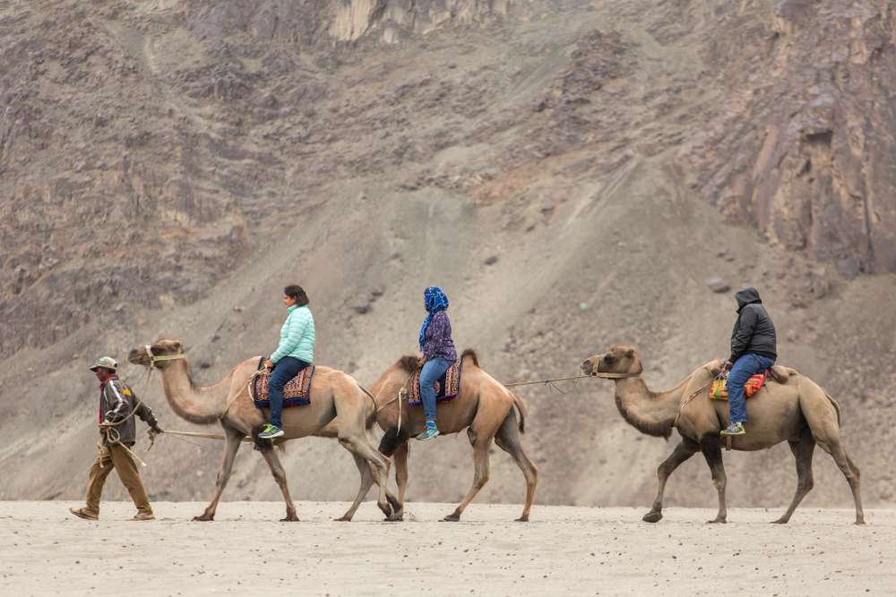 Camel Safari at Hunder Sand Dunes