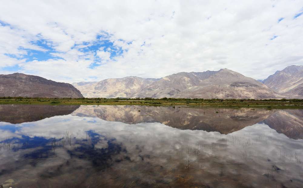 Safety Tips and Guidelines