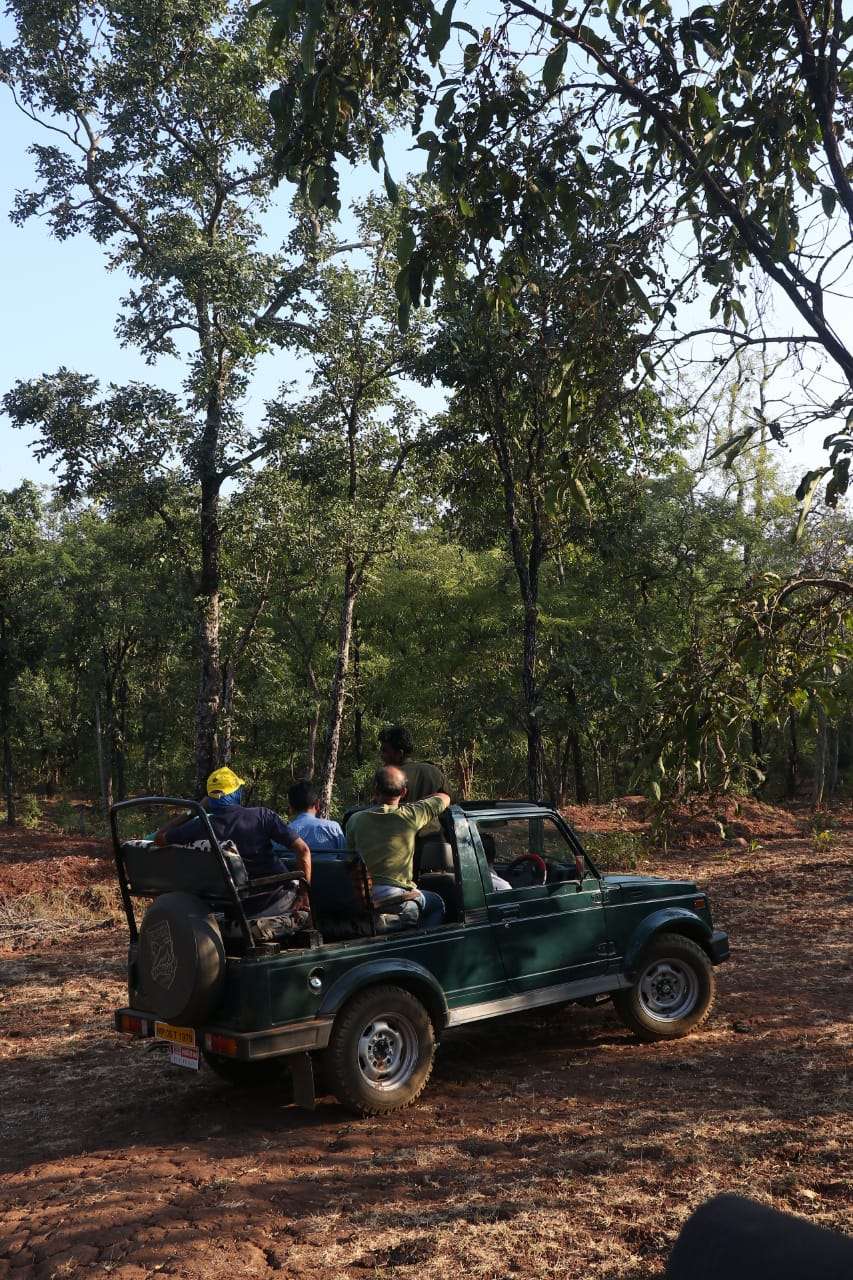 1545916611 whatsapp image 2018 12 26 at 17.16.34