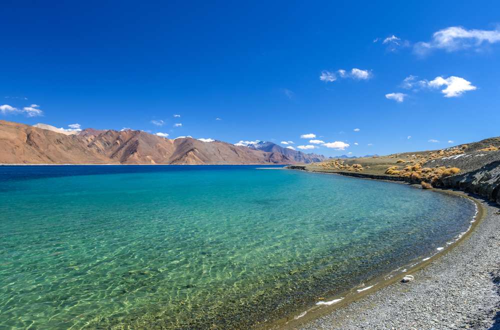 Safety Tips and Guidelines