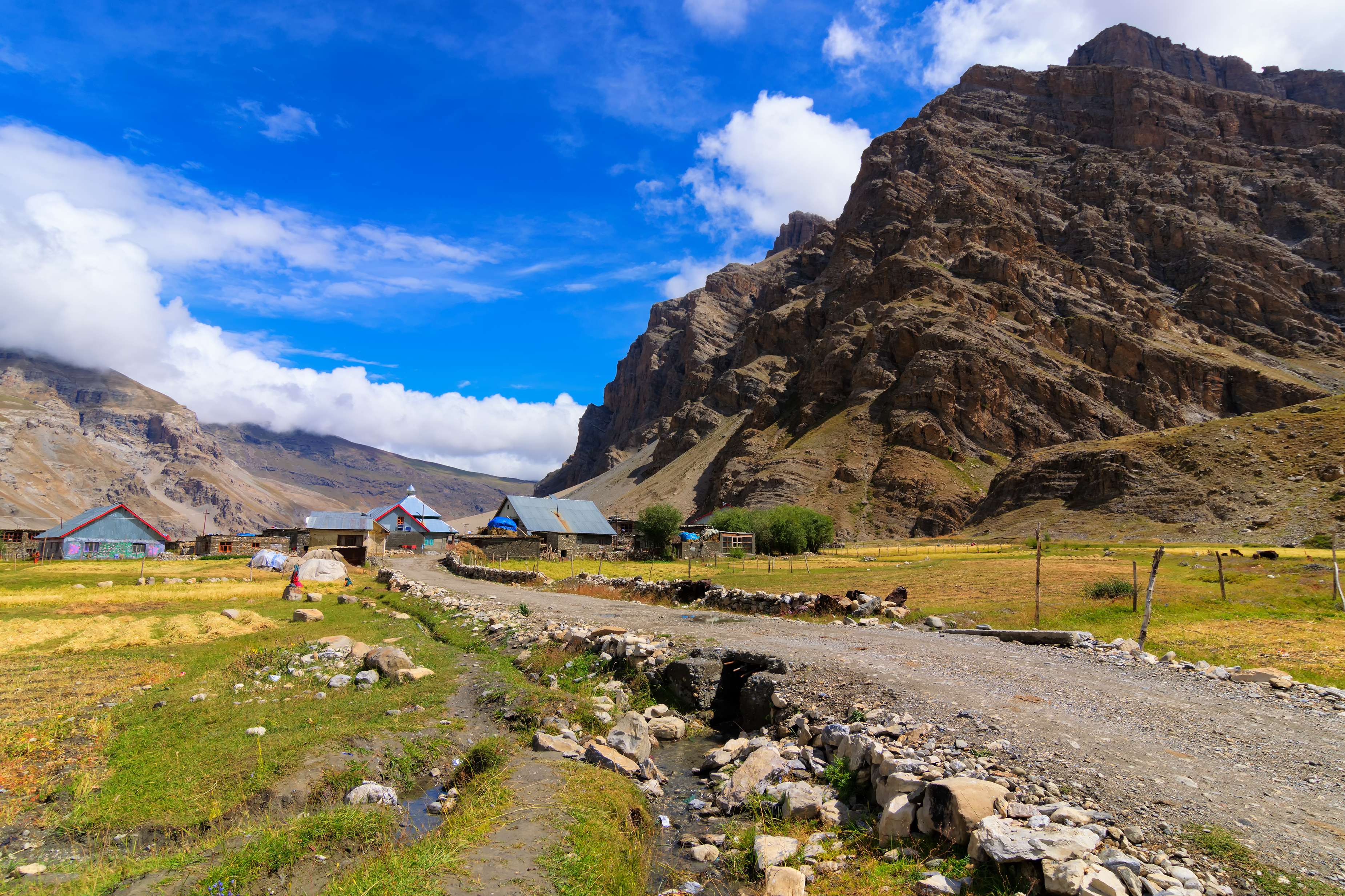 Srinagar to Kargil: How to Plan a Road Trip in {{year}}