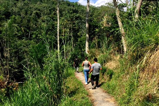 Nature Walk Tour Mussoorie Flat 26% off