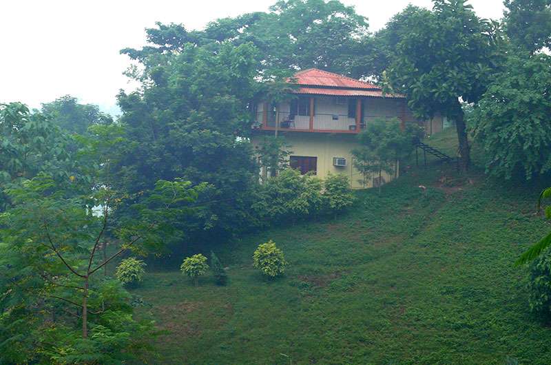 Brahmaputra Jungle Resort