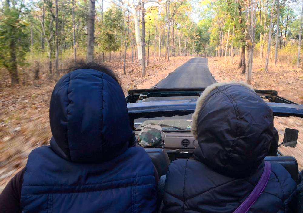 Jeep Sightseeing Tour with Trekking, Munnar