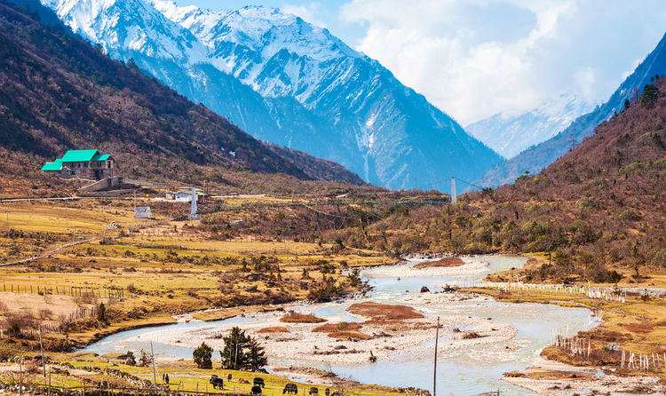 Visit Chopta Valley Vegetative Pasture Lands