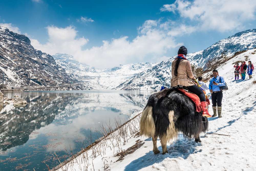 10 Things to Do in Lachung {{year}} | Get Upto 20% Off