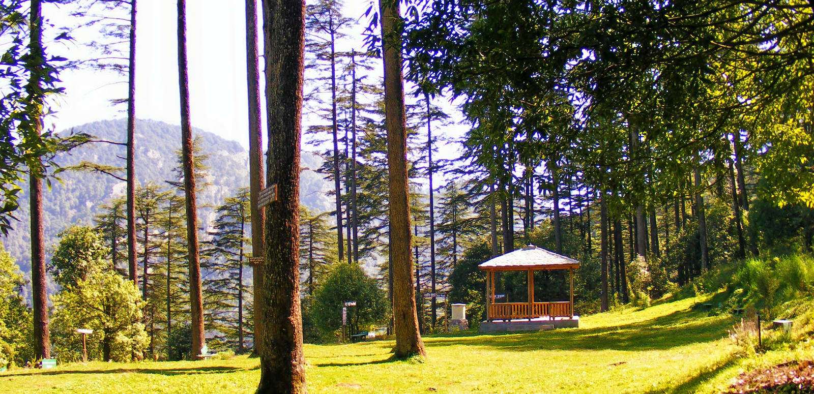 Dhanaulti
