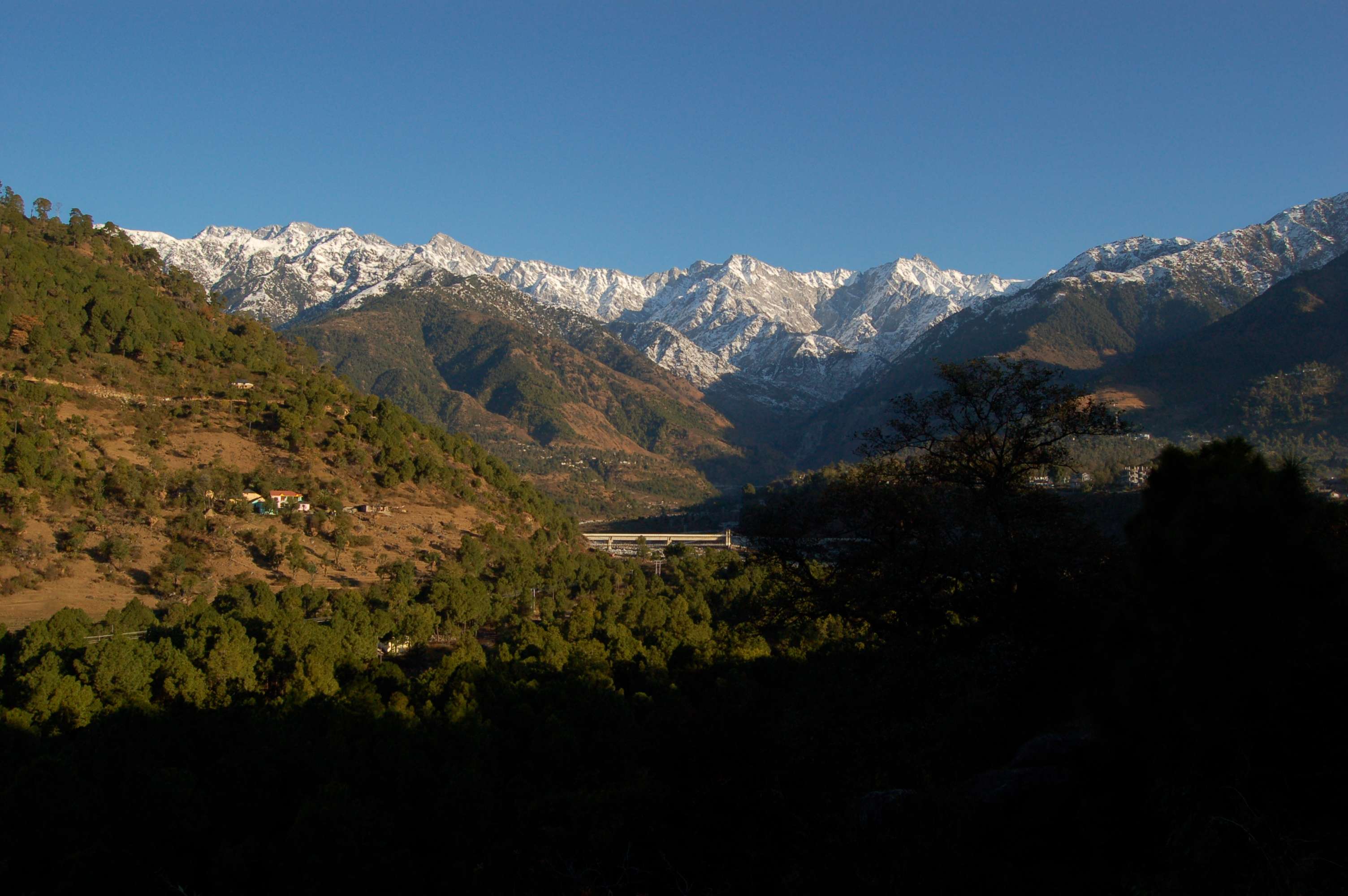 Palampur