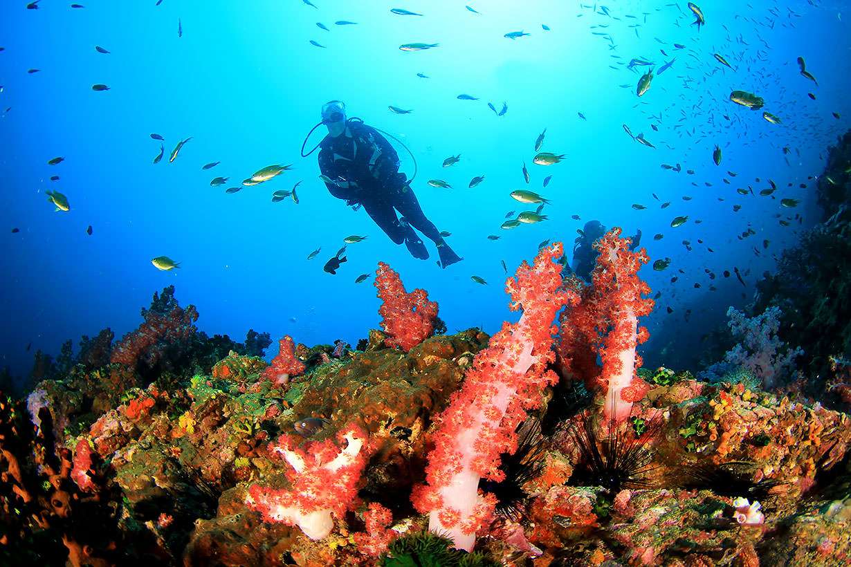 Scuba Diving at Jimbaran