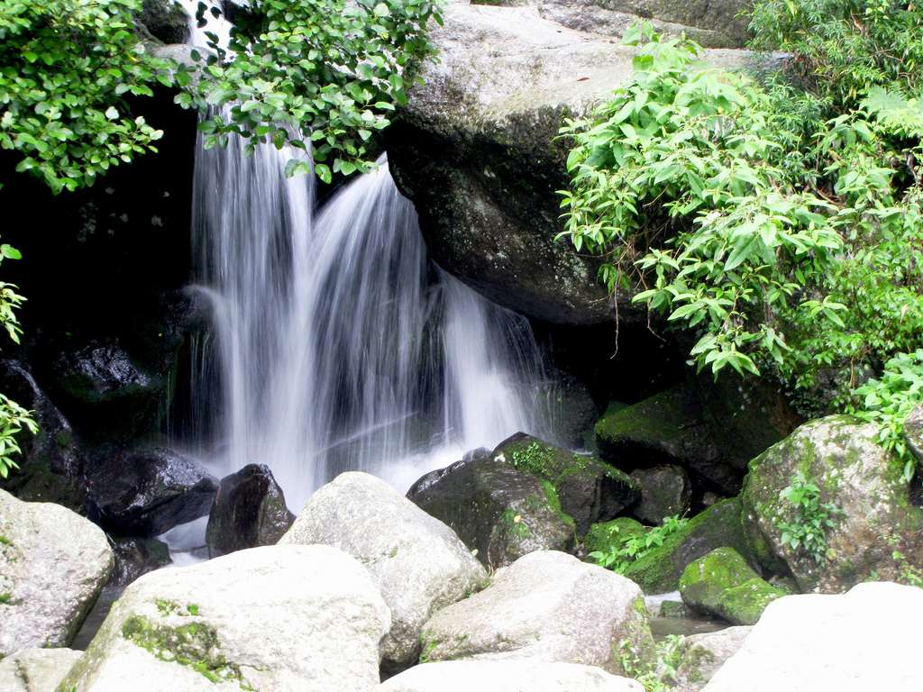 Get Mesmerize with the View of Panch Pulla Waterfall