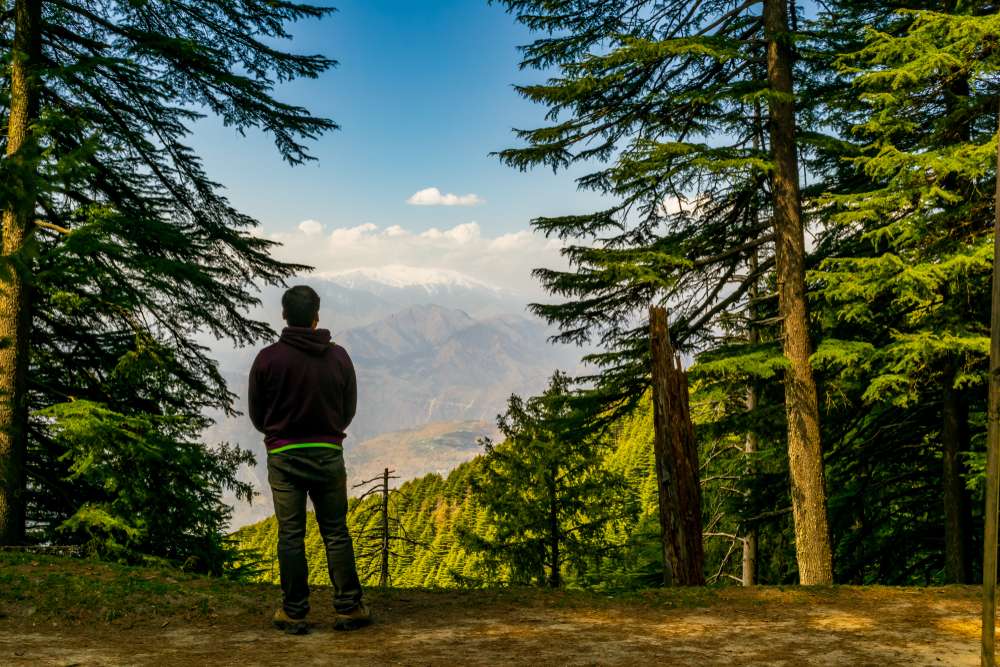 Hike Up to the Kalatop Wildlife Sanctuary