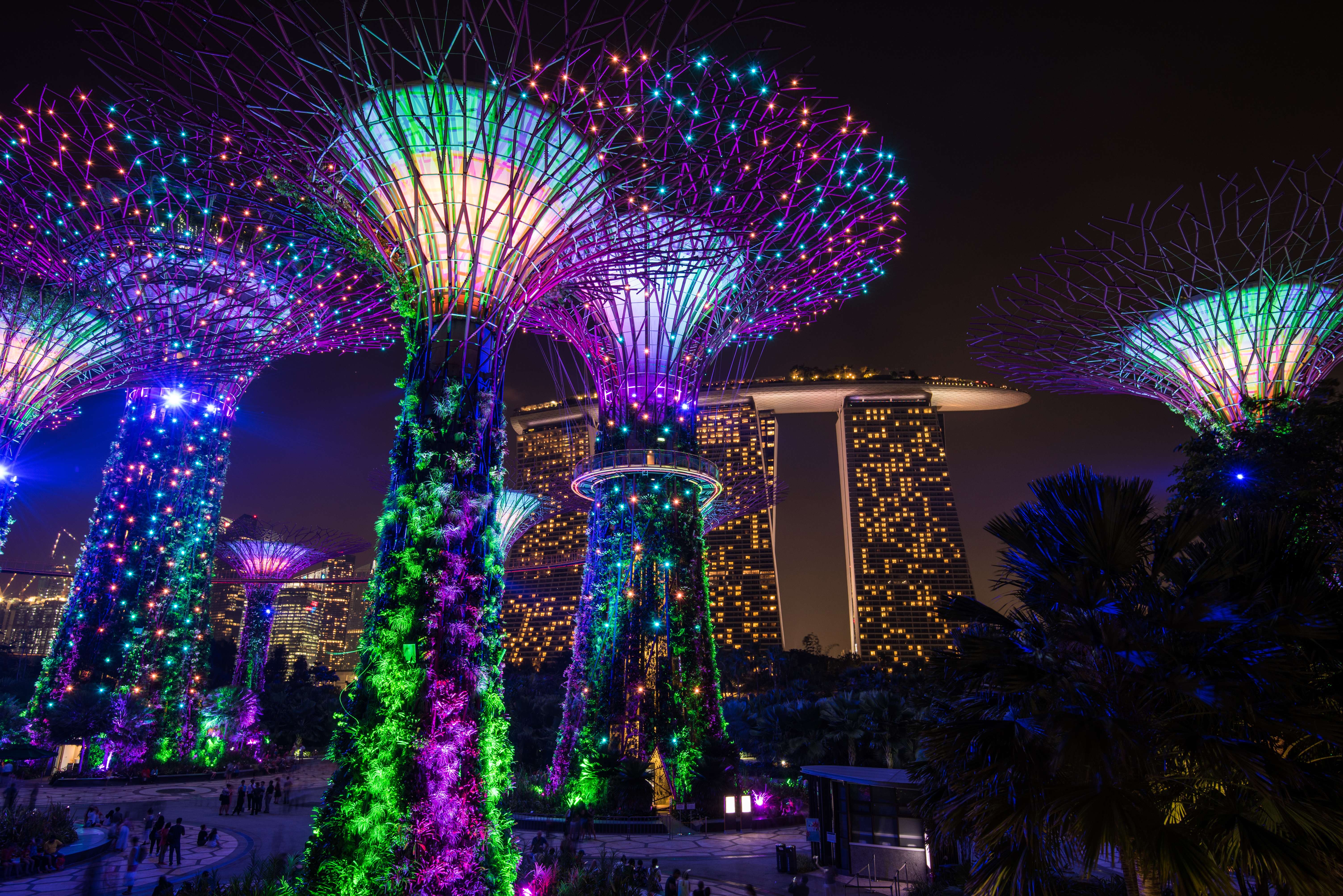 Visit Gardens by the Bay