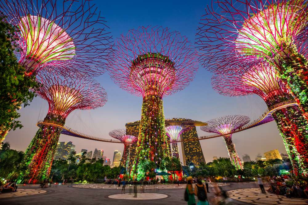 Explore the Gardens by the Bay