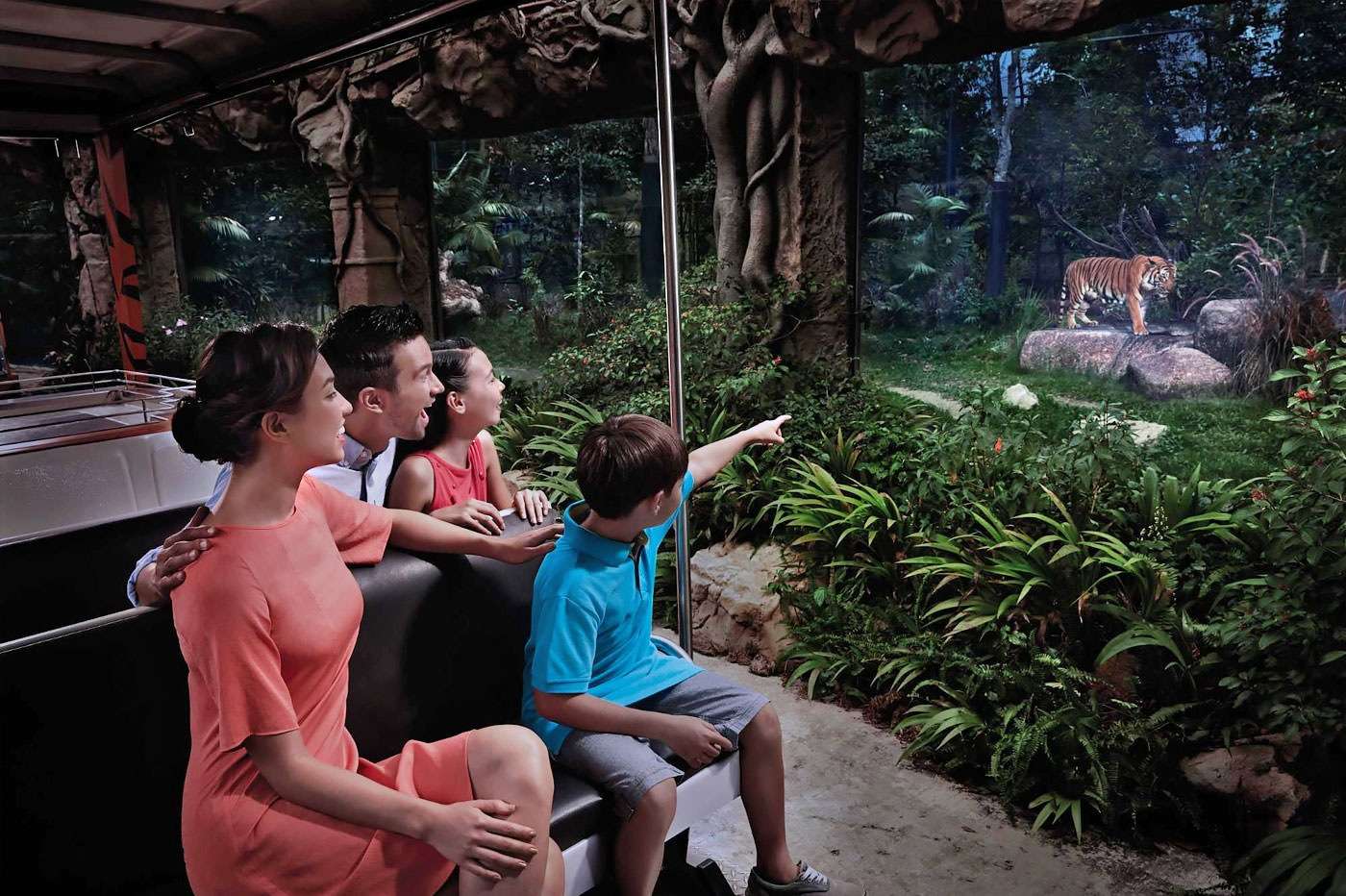 See the World of Wild Animals at Singapore Night Safari