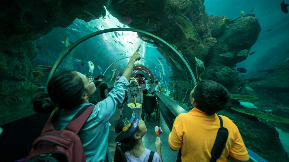 Explore the Underwater World at S.E.A. Aquarium