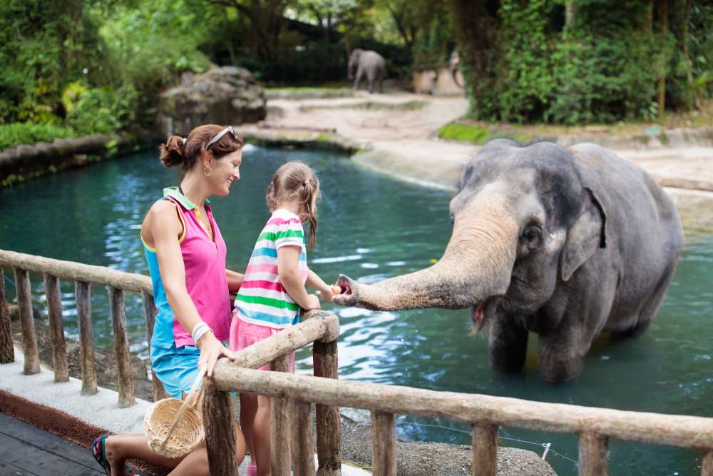 Meet Animals at Singapore Zoo
