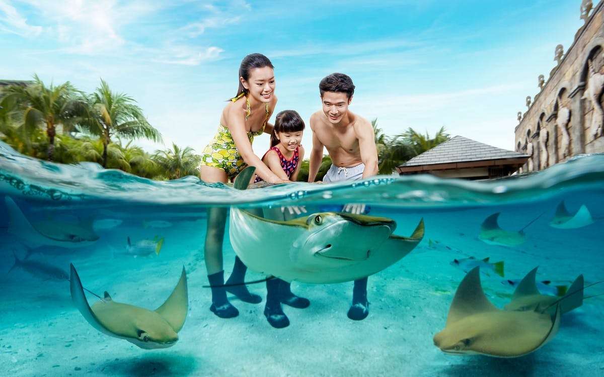 Cool off at Adventure Cove Water Park