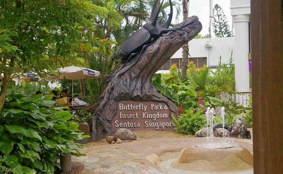 Explore the Butterfly Park and the Insect Kingdom